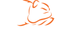 Bad Boy Mowers_Primary Logo Reversed_PMS